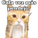 Calajo 😑‼️