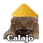 Calajo 😑‼️
