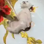 XITPOST ANIMADO