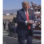 TRUMPETAS