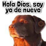 🌊 COMBO de Stickers #➊➎
