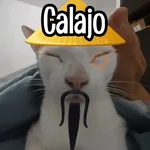 Calajo|Gato Chino 🐱🙏