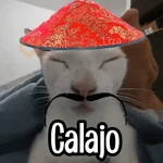 Calajo|Gato Chino 🐱🙏