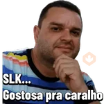 Minhas figurinhas