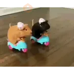 Hamster en moto 🐹🛵