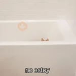 Nuevos Gatos para responder 🐱⚡ 