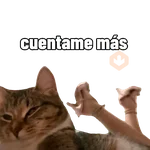 Nuevos Gatos para responder 🐱⚡ 