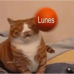 😴 LUNES A QUE COSTO? 😴