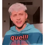 domelupita