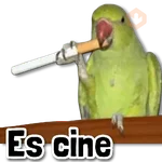 COMBO de Stickers #12 💢