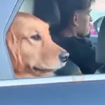 🔥TIKTOK RAMDON 2.8📲