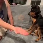 🔥TIKTOK RAMDON 2.8📲