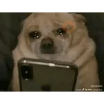 Memes y reacciones tristes 😭