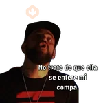 Temach mi maestro🫡😎