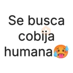 frío frases