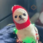 🎄ANIMALITOS NAVIDEÑOS 🎄