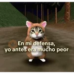 😽 GATOS CON FRASES 😸