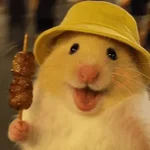 🐹 HAMSTER MOODS 🐹