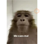 My stickers