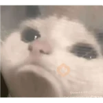 Lupitatiktok