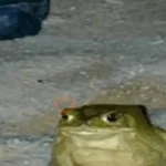 🐸 Ranitas Random 🐸
