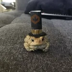 🐸 Ranitas Random 🐸