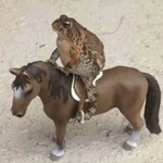 🐸 Ranitas Random 🐸