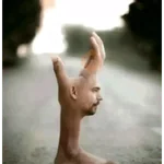 Tiktok—reaction image