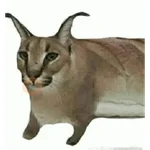 SDLG