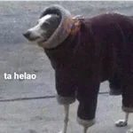 ❄️🐕 Perros Mood Frío 🐕❄️