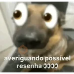 Averiguar resenha TikTok