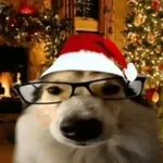 🎄Animalitos Yingolbel🎄