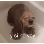 Vamos a lokear memes 🍺🍻