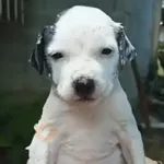 Frío ☃️ temblando ❄️