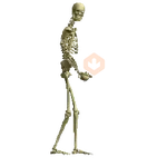 Esqueleto escudo 💀 skeleton 🛡️