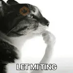 reaction cat🐱 tiktok vers