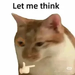 reaction cat🐱 tiktok vers