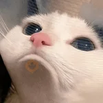 🥲🪾😭 TRISTE | SAD 3 🥲🪾😭