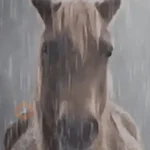 🥲🪾😭 TRISTE | SAD 3 🥲🪾😭