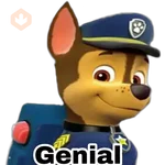 Paw patrol 