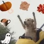 🎃🔪🕷️ Halloween Mood 🕷️🔪🎃