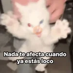 😌 ANIMALITOS SHITPOST 😌