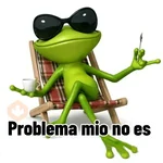 Meme | Problema tuyo 🐸🕶