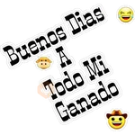 Buenos Dias 