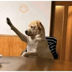 comentarios de tiktok