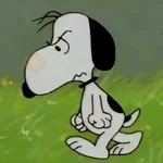 🦴🏠 SNOOPY 10 [Enojado] 🏠🦴
