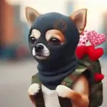 Chihuahua Mood Amor 🐾❤️