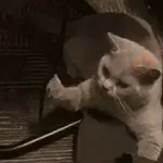 Meme Kucing Imut #2