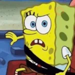 reaction tiktok meme