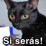 🐈‍⬛🎄LA GATA LOCA🎄Tiktok🎄🐈‍⬛